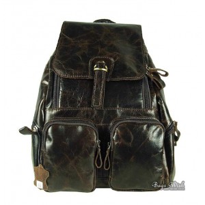 Soft leather backpack, coffee stylish leather backpack